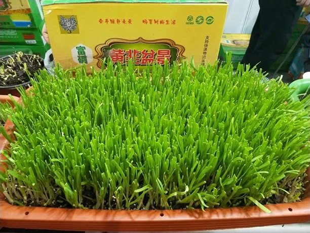 微信圖片_20190513152135.jpg 微信圖片_20190513152135.jpg