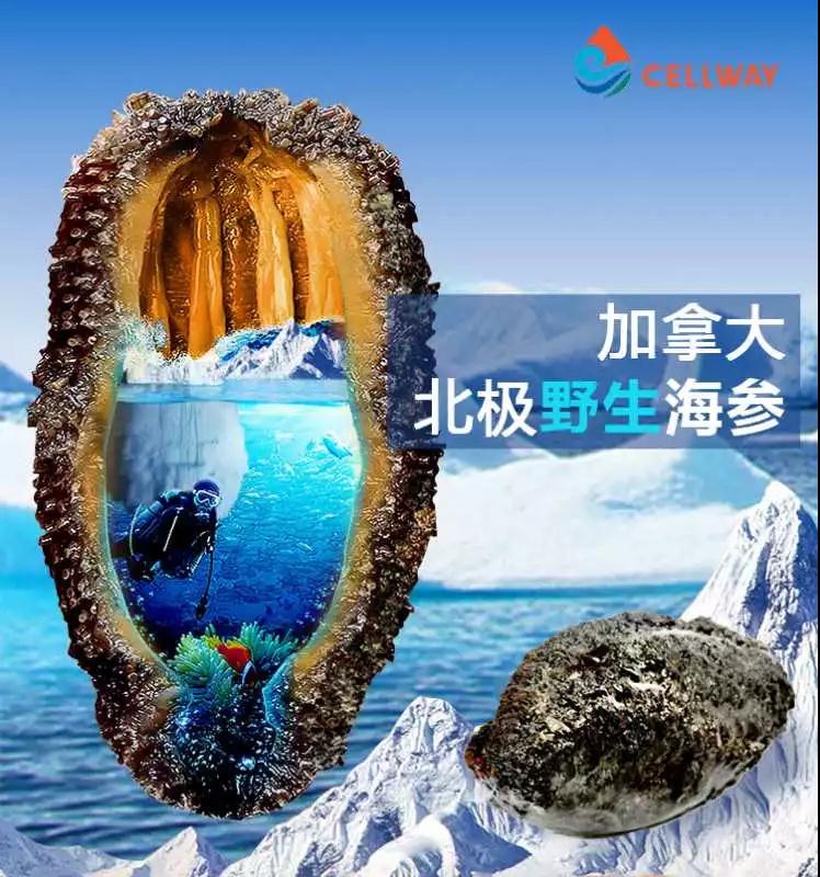 微信圖片_20190513163103.jpg