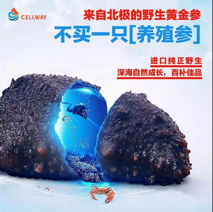 微信圖片_20190513163107.jpg
