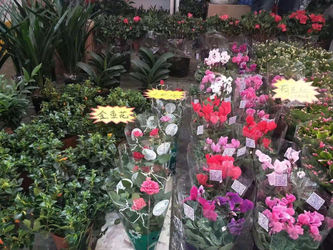 微信圖片_20191022090908.jpg